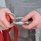 Silverline Screwgate Karabiner - 19mm Gate additional 2