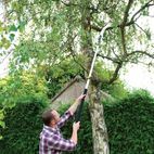 Silverline Extendable Pruning Saw - 1.5 - 2.5m additional 6
