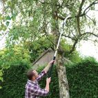 Silverline Extendable Pruning Saw - 1.5 - 2.5m additional 4