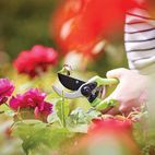 Silverline Secateurs - 220mm additional 5