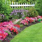 Silverline Pressure Sprayer 5Ltr - 5Ltr additional 6