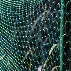 Ambassador Garden Net Green additional 2