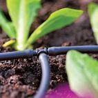 Hozelock 100-001-350 T Piece 4mm additional 2