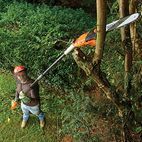 BLACK + DECKER PS7525 Corded Pole Saw 25cm Bar 800W 240V additional 3