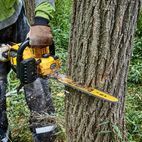 DEWALT DCMCS574 XR FlexVolt Chainsaw additional 3