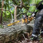 DEWALT DCMCS574 XR FlexVolt Chainsaw additional 5