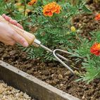 Kent &amp; Stowe Hand 3-Prong Cultivator, FSC® additional 1