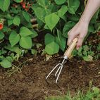 Kent &amp; Stowe Hand 3-Prong Cultivator, FSC® additional 3