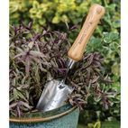 Kent &amp; Stowe Hand Transplanting Trowel, FSC® additional 4
