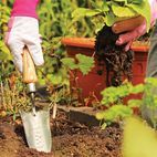 Kent &amp; Stowe Hand Transplanting Trowel, FSC® additional 2