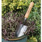 Kent &amp; Stowe Hand Trowel, FSC® additional 2