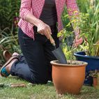 Kent &amp; Stowe Hand Trowel, FSC® additional 1