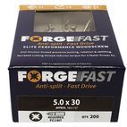 ForgeFix ForgeFast Pozi Compatible Wood Screws, Box additional 2
