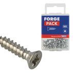 ForgeFix Self-Tapping Screws, Pozi, CSK, A2 Stainless Steel additional 15