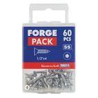ForgeFix Self-Tapping Screws, Pozi, CSK, A2 Stainless Steel additional 11