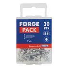 ForgeFix Self-Tapping Screws, Pozi, CSK, A2 Stainless Steel additional 12