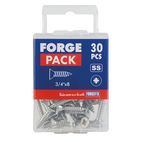 ForgeFix Self-Tapping Screws, Pozi, CSK, A2 Stainless Steel additional 4