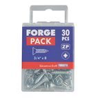 ForgeFix Self-Tapping Screws, Pozi, CSK, ZP additional 20