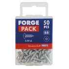 ForgeFix Self-Tapping Screws, Pozi, Pan Head, A2 Stainless Steel additional 38