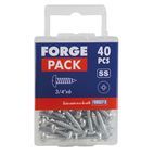 ForgeFix Self-Tapping Screws, Pozi, Pan Head, A2 Stainless Steel additional 31