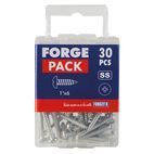 ForgeFix Self-Tapping Screws, Pozi, Pan Head, A2 Stainless Steel additional 27
