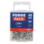 ForgeFix Self-Tapping Screws, Pozi, Pan Head, A2 Stainless Steel additional 23