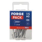 ForgeFix Self-Tapping Screws, Pozi, Pan Head, A2 Stainless Steel additional 30