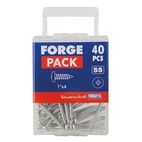 ForgeFix Self-Tapping Screws, Pozi, Pan Head, A2 Stainless Steel additional 39