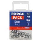 ForgeFix Self-Tapping Screws, Pozi, Pan Head, A2 Stainless Steel additional 36