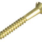 ForgeFix Wood Screws, Slotted, CSK, Brass additional 58