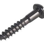 ForgeFix Wood Screws, Slotted, RH, Black additional 10