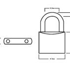 Squire Lion Brass Padlock additional 14
