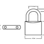 Squire Lion Brass Padlock additional 10