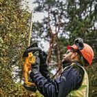 DEWALT DCMHT563 XR Hedge Trimmer additional 7