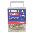 ForgeFix Multi-Purpose Screws, Pozi, CSK, ZYP additional 23