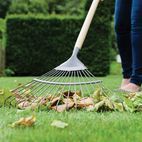 Kent &amp; Stowe Long Handled Lawn &amp; Leaf Rake, FSC® additional 2