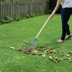 Kent &amp; Stowe Long Handled Lawn &amp; Leaf Rake, FSC® additional 3
