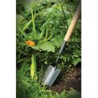Kent &amp; Stowe Long Handled Trowel, FSC® additional 3