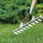 Kent &amp; Stowe Stainless Steel Long Handled Scarifying Rake, FSC® additional 2