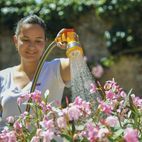 Hozelock Multi Spray Gun additional 3