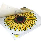 Rentokil Advanced Window Fly Traps (Pack 4) additional 1