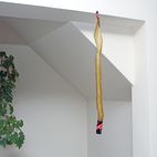 Rentokil Flypapers additional 3