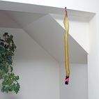 Rentokil Flypapers additional 4