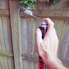 Rentokil Wasp Nest Destroy Foam Aerosol 300ml additional 3