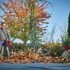 Einhell GE-LB 36/210 Li E-Solo Power X-Change Leaf Blower 36V (2 x 18V) Bare Unit additional 2