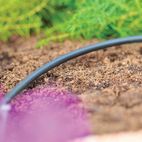 Hozelock 2772 Micro Irrigation Supply Hose 25m additional 2