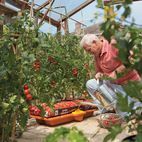 Hozelock 2810 Growbag Waterer additional 4