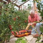 Hozelock 2810 Growbag Waterer additional 5