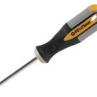 Roughneck Pozidriv Screwdriver additional 4