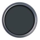 Ronseal Long Lasting uPVC Paint - Mould &amp; Weather Resistant additional 19